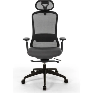 Ruben Plus Siyah Ofis Koltuğu | Yönetici Koltuğu