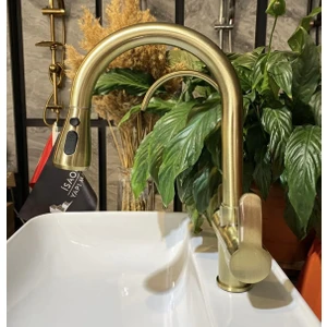 İsaoğlu Yapı Arıtmalı Mutfak Bataryası Mat Gold Evye Muslugu Spiralli Arıtmalı