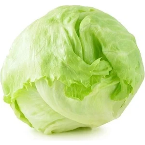 Aksaray Tohumculuk Iceberg Marul Tohumu 25 Adet Tohum Aksaray Tohumculuk