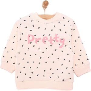 Basic Az Şardonlu Aslan Desenli Sweatshirt Kız Bebek