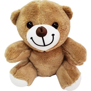 Sevimli Peluş Ayicik