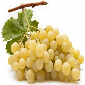 4 Yaş Sultani Çekirdeksiz Üzüm Fidanı