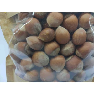 Kabuklu Ordu Fındık