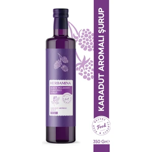 Karadut Aromalı Şurup 510 gr