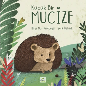 Küçük Bir Mucize - Bilge Nur Pembegül
