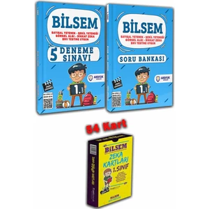 Ardışık Yayınları 1. Sınıf Bilsem Soru Bankası ve Deneme Sınav Seti  /   Zeka Kartları