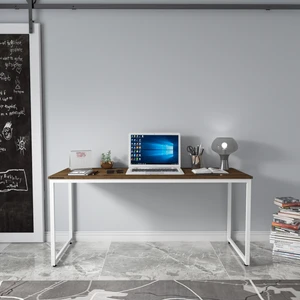 Rega Çalışma Masası 160X60