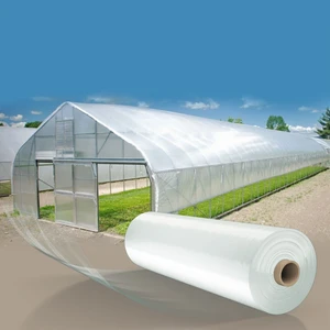 Sera Naylonu - 12 Aylık - 300 Mikron Sera Örtüsü - 2 Metre x 1 Metre