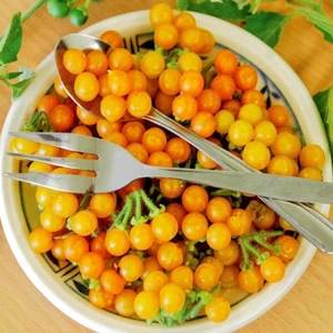 Sarı Bezelye Domatesi Tohumu Geleneksel Yellow Currant Tomato