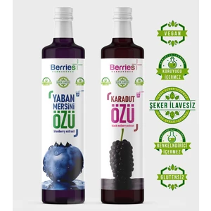 Berrie's® Karadut Özü & Yaban Mersini Özü