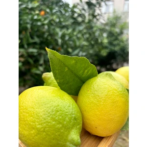 BRF Tropikal Limon 1 kg