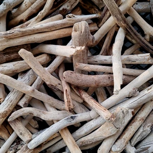 Driftwood Deniz Sahil Odunu Tip 2