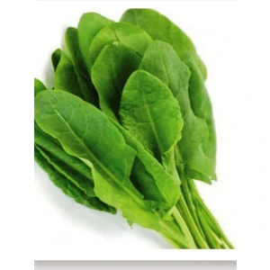 Aksaray Tohumculuk Kuzukulağı Tohumu 1 gr Tohum Aksaray Tohumculuk