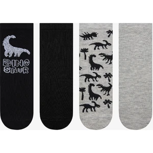 Erkek Çocuk Black Dino 4lü Soket Çorap