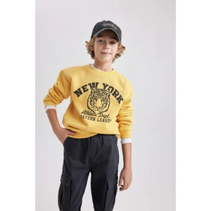 Erkek Çocuk Sarı Regular Fit Düz Kesim Basic Düz Kapüşonlu Sweatshirt B7822A8NS