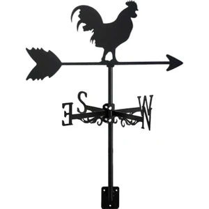 Regal Gülü - Açı Dekoratif (Yurt Dışından)