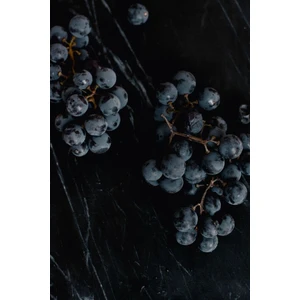 Siyah Merlot Üzümü Fidanı 1-2 Yaş Arası Tüplü