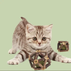 Catnipli Matatabi Oyun Topu