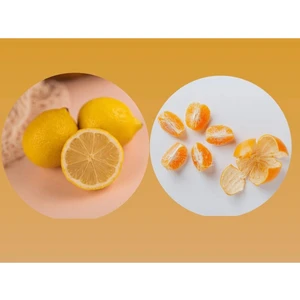 Tüplü Aşılı Bodur Yediveren Limon+Okitsu Mandalina 2 Yaş