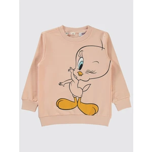Kız Çocuk Sweatshirt 2-5 Yaş Pembe Kil