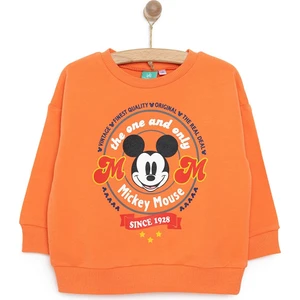 Mickey Mouse Erkek Sweatshirt Erkek Bebek