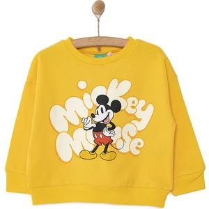 Mickey Mouse Erkek Sweatshirt Erkek Bebek