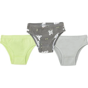 Hellobaby Erkek 3lü Slip Külot