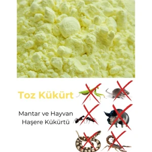 Yıldız Tohum Altın Kükürt Toz Kükürt Mantar Haşare Kükürtü 5 kg