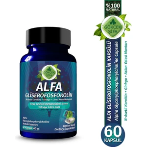 Alfa Gliserofosfokolin Kapsül (ALPHA GLYCERYLPHOSPHORYLCHOLİNE CAPSULE)