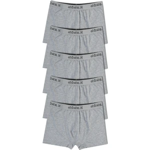 5'li Pamuklu Boxer Erkek Külot