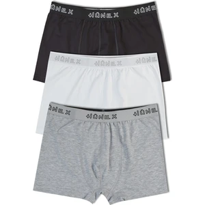 Hnx 3'lü Pamuklu Boxer Erkek Külot