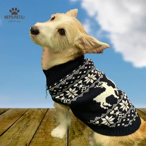 Noel Navy Köpek Kazağı