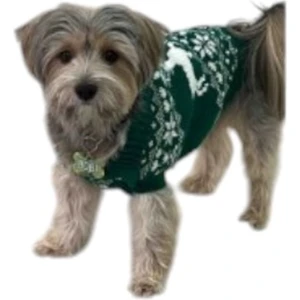 Noel Green Köpek Kazağı