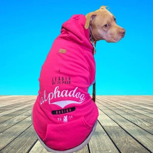 Leader Pink Orta-Büyük Irk Köpek Sweatshirtü (11 kg-36 kg arası köpeklere uygundur)