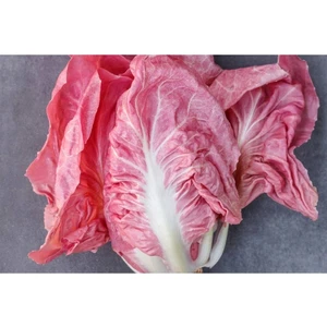 Ayc Botanik 100 Adet Ithal Pembe Marul Tohumu