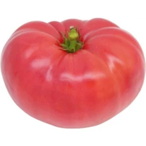 Ayc Botanik 20 Adet Pembe Biftek Domates Tohumu