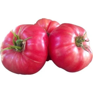 Ayc Botanik Nadir Iri Pembe Domates Tohumu 10 Adet Tohum Bulgar Domatesi