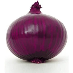 Nadir Ithal Mor Soğan Tohumu 200 Adet Tohum