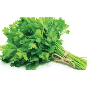 Ithal Yediveren Erkenci Maydonoz Tohumu 250 Adet Tohum