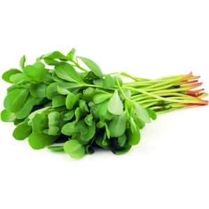 200 Adet Iri Yapraklı Semizotu Tohumu