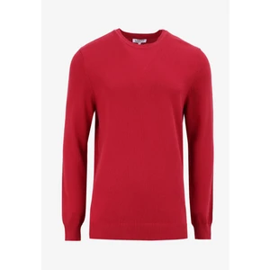 Bisiklet Yaka Basic Düz Kırmızı Erkek Kazak MMSL4WM-KZK9509