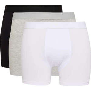 Long Fit 3'lü Boxer C6558AX24CW