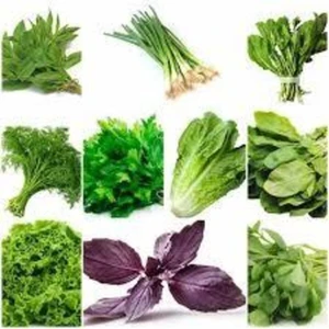 1000 Adet Muhteşem Yeşillik Tohumu Paketi-10 Farklı Çeşit