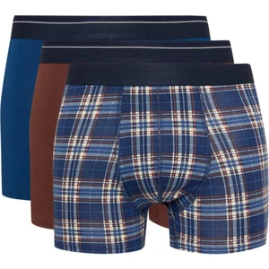 Regular Fit Kareli 3'lü Boxer E0032AX24CW