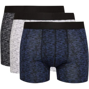 Regular Fit Çizgili 3'lü Boxer E0033AX24CW
