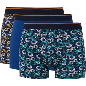 Regular Fit Baskılı 3'lü Boxer E0048AX24CW