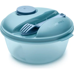 Salata Kabı