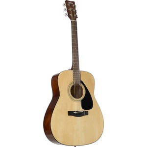 F310 Naturel Aksutik Gitar