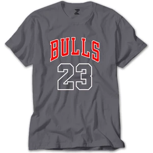 Z zepplin Chicago Bulls 23 Gri Tişört