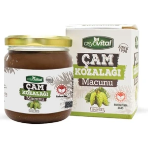 Asya Vital Çam Kozalağı Macunu 240 gr